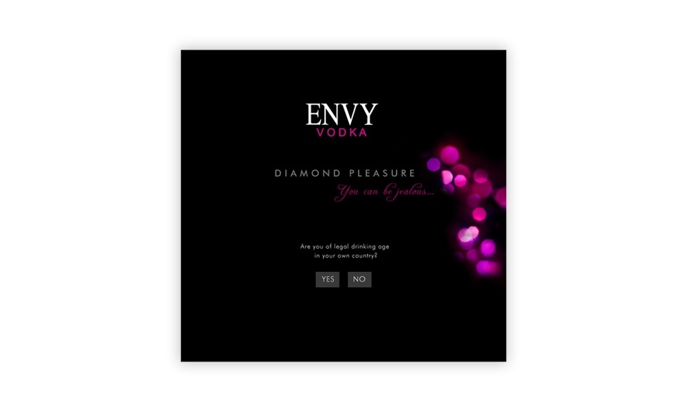 tworzenie stron www Envy Vodka