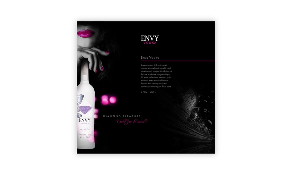 tworzenie stron www Envy Vodka