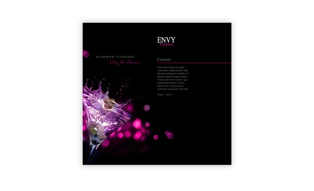 tworzenie stron www Envy Vodka