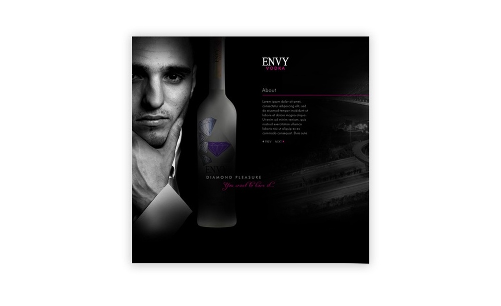 tworzenie stron www Envy Vodka