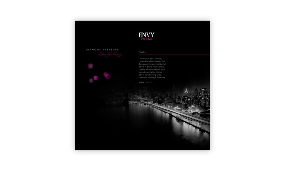 tworzenie stron www Envy Vodka