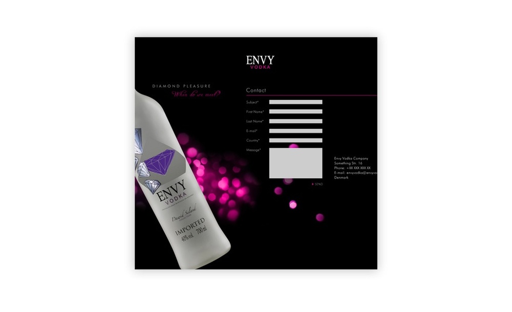 tworzenie stron www Envy Vodka