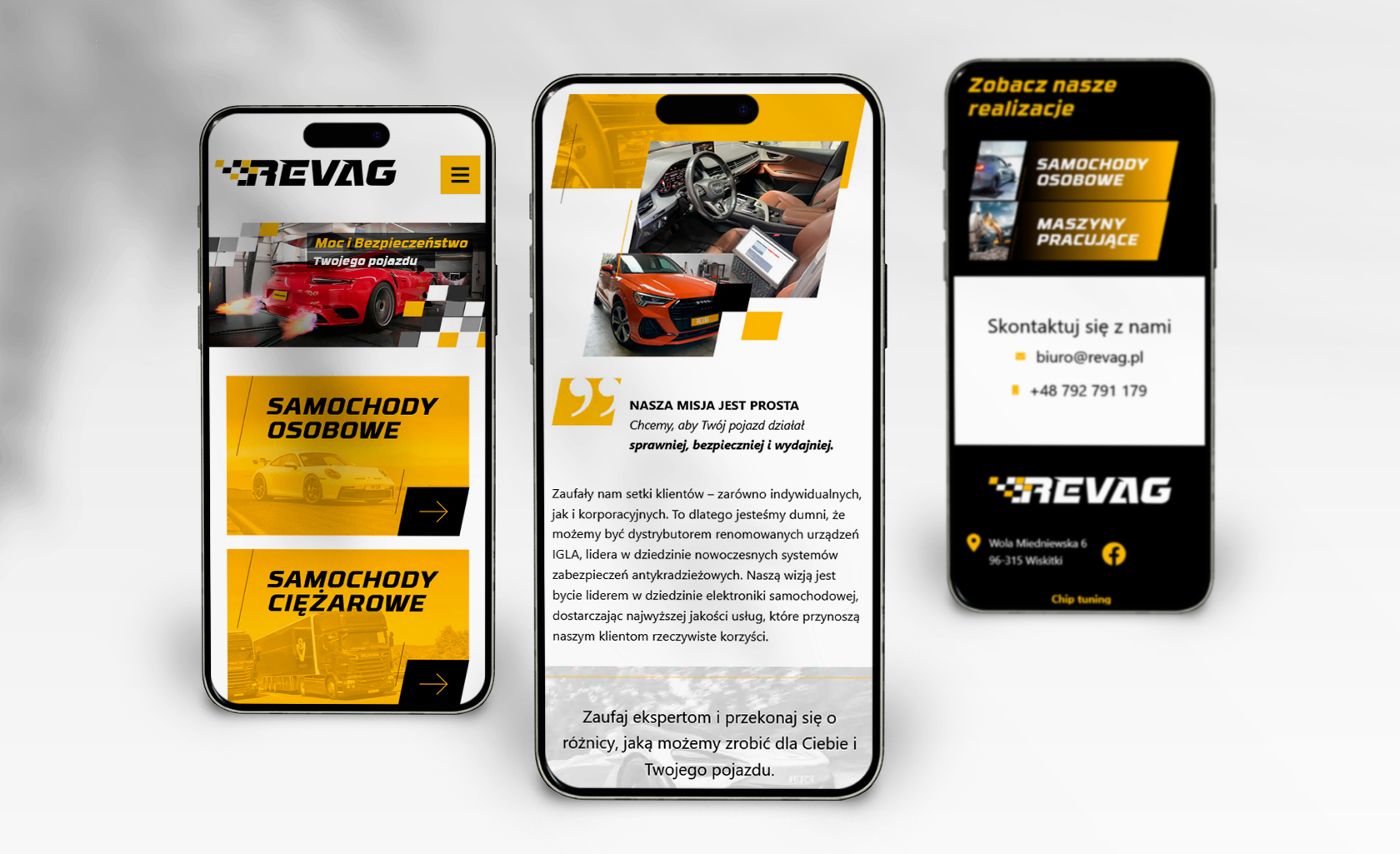 tworzenie stron www Revag