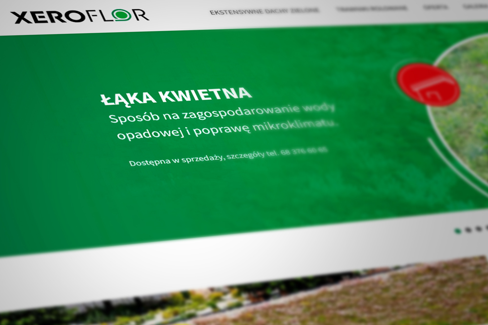 tworzenie stron www Xero Flor