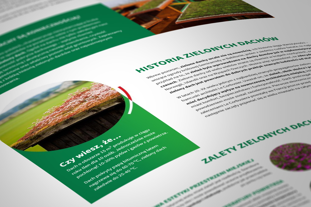 tworzenie stron www Xero Flor