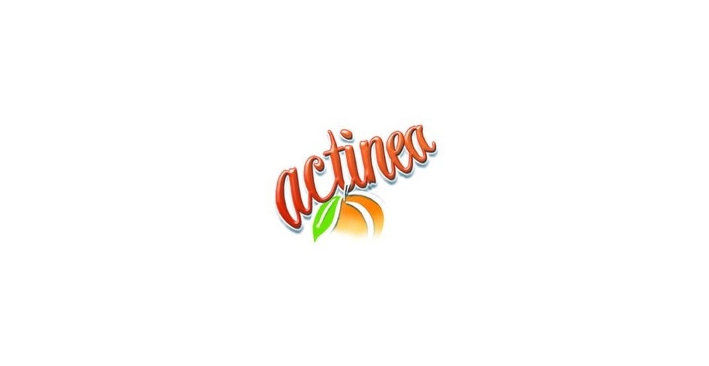 Identyfikacja wizualna Actinea