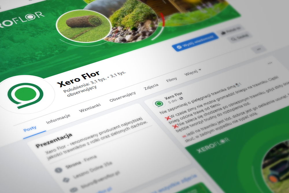 wizerunek, identyfikacja wizualna Xero Flor